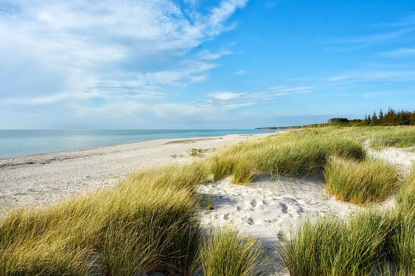 West beach by Claudia Moeckel