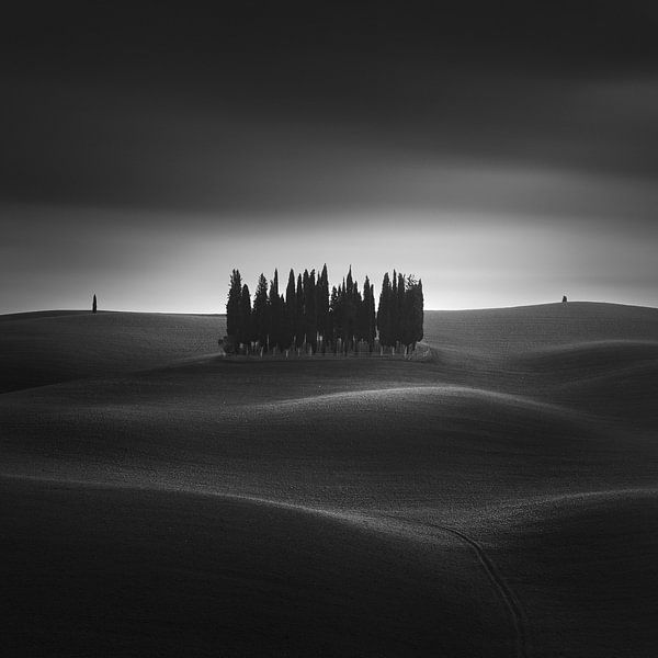 Iconic Cypresses of San Quirico by Stefano Orazzini