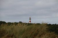 Ameland lighthouse Top