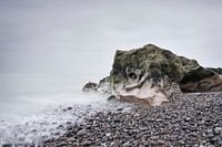 La Créature Échouée