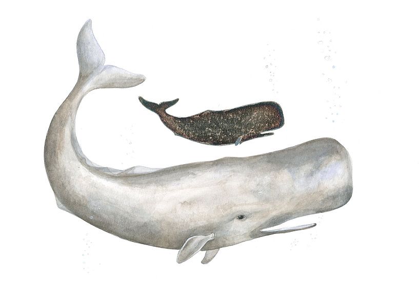 Gentle Ocean Giants by Isabelle Brent