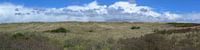 Panorama der Dünen von Ameland