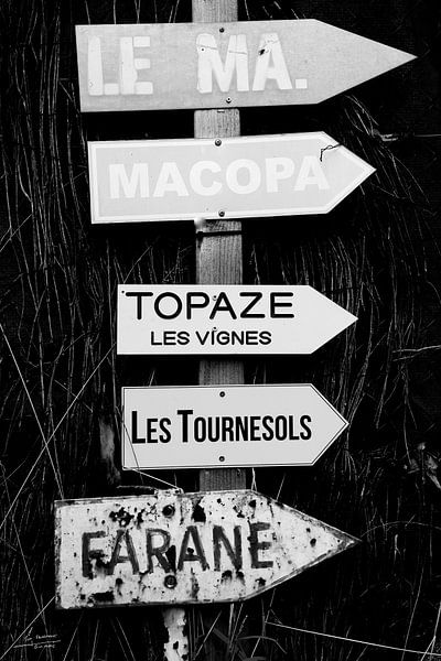 Sunflowers in Saint-Tropez by Tom Vandenhende