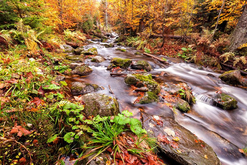 mountain stream by Cor de Bruijn Photography