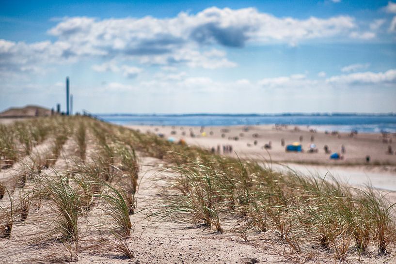 Strand Rotterdam von Rob van der Teen