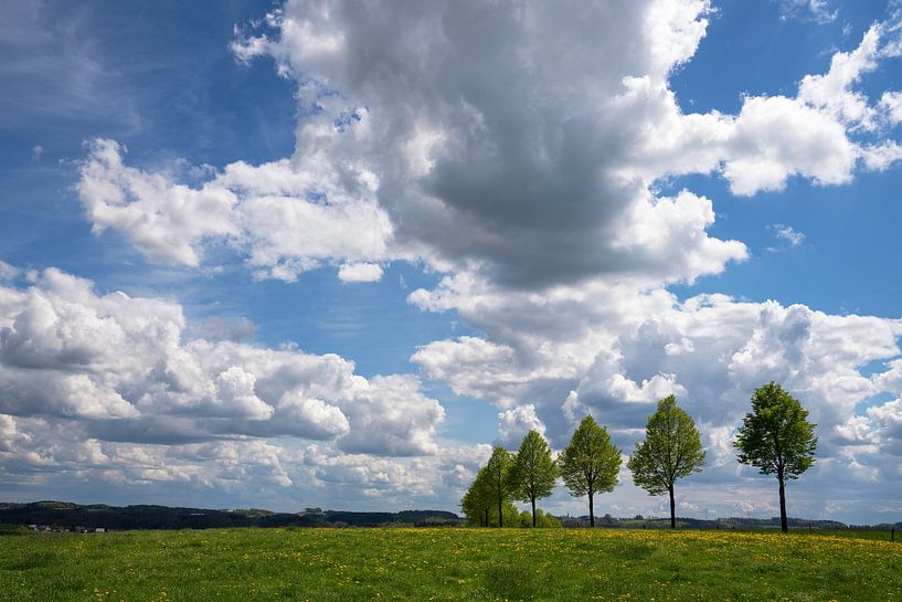 Bergischer Panoramasteig, Bergisches Land, Deutschland von Alexander Ludwig