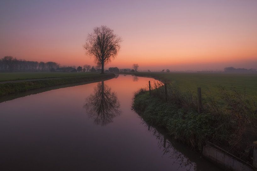 Boomreflectie in sloot van Moetwil en van Dijk - Fotografie