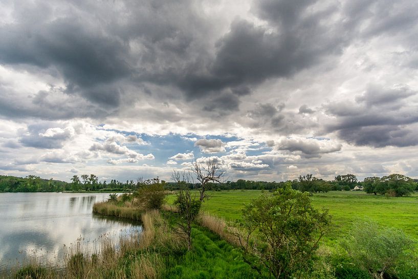 Dijle-Tal Löwen von Joost Potma