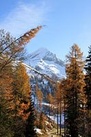 Herbst in den Bergen