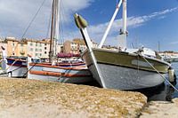 Saint Tropez mit typischen, alten, kleinen Fischerbooten im Hafen bei Sonnenschein, Cote d'Azur, Französische Riviera