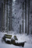Bench in the snow in Winterberg (Germany)