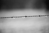Prikkeldraad in de kou