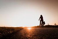 Mit dem Fahrrad zur Arbeit über den Driemanspolder