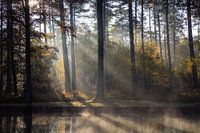 Réflexion ascendante