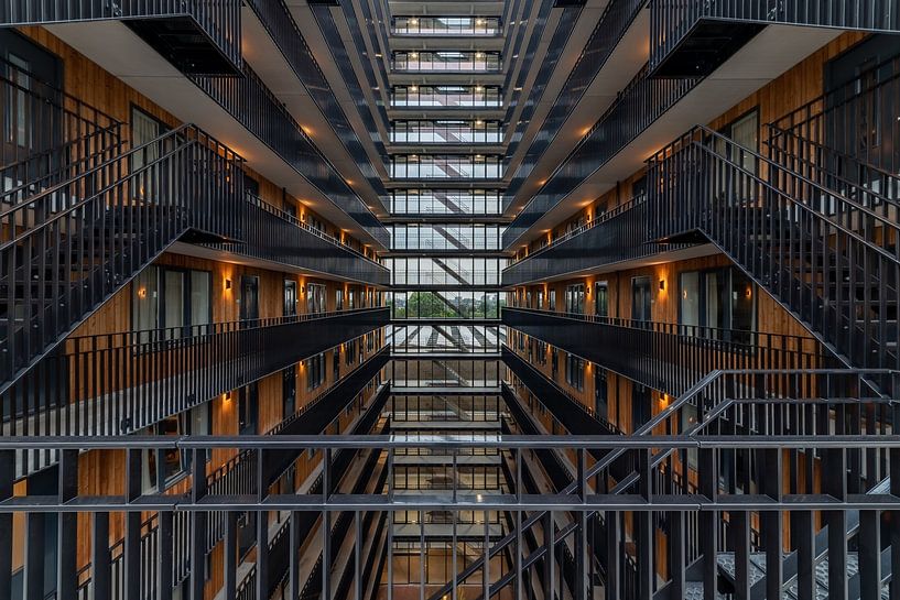 Line play by Brigitte Mulders