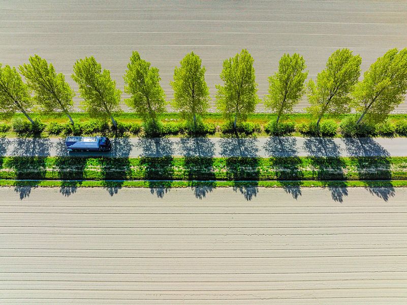 Straße in einer ländlichen Landschaft von oben gesehen von Sjoerd van der Wal Fotografie