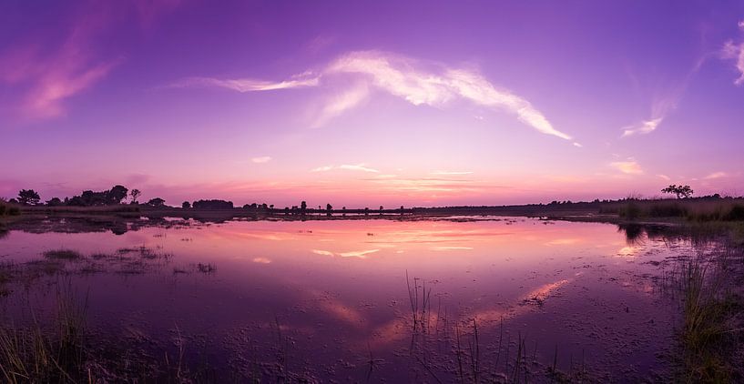 Strabrechtse Heide 128 par Deshamer