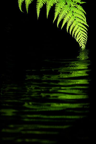 Naviguer avec réflexion par Elles Rijsdijk