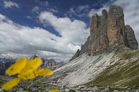 Tre Cime