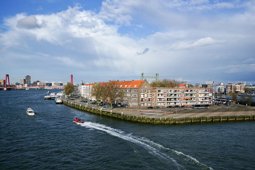 Een kijkje vanaf de Erasmusbrug par Alice Berkien-van Mil