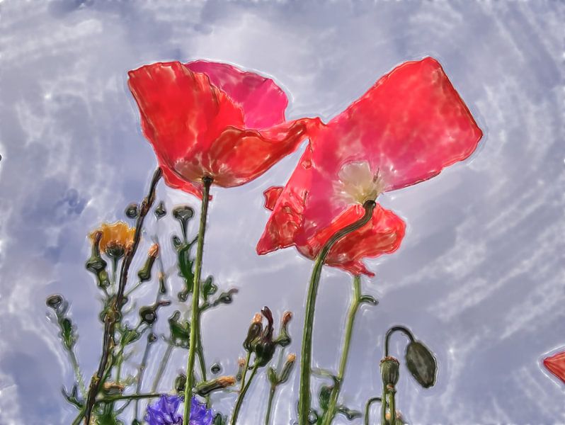 Klatschmohnmalerei par Edgar Schermaul