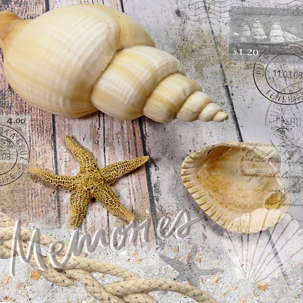 Erinnerungen von christine b-b müller