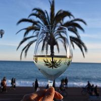 Wine and Palm Tree