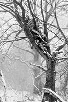 Erinnerungen an einen kalten Winter