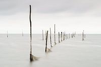 Les pôles au-dessus de l'eau