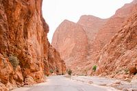 Paysage rocheux aux couleurs de la rouille : gorges de Todra, Maroc