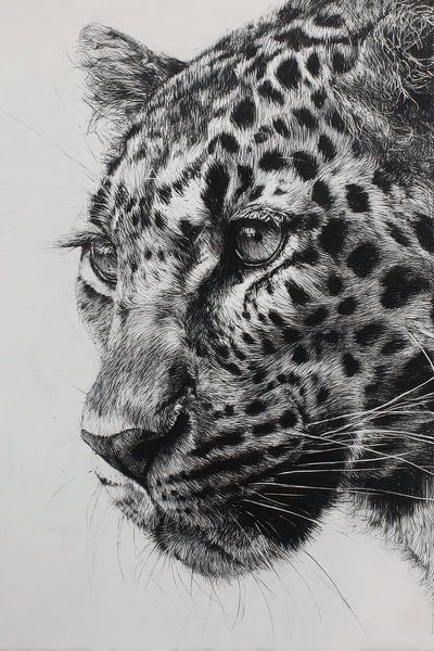 Leopard Subdued Power in Black and White Drawing by Eva Lee