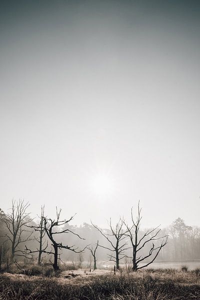 Landscape work 3 by Nieta Karsten