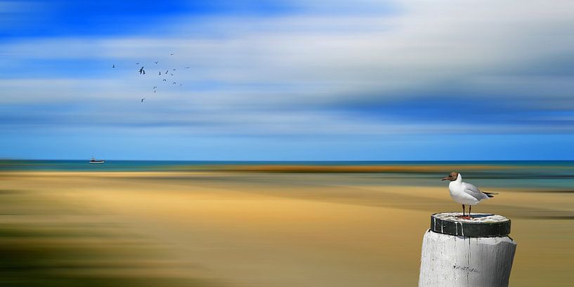 Ein Blick in die Ferne von Monika Jüngling