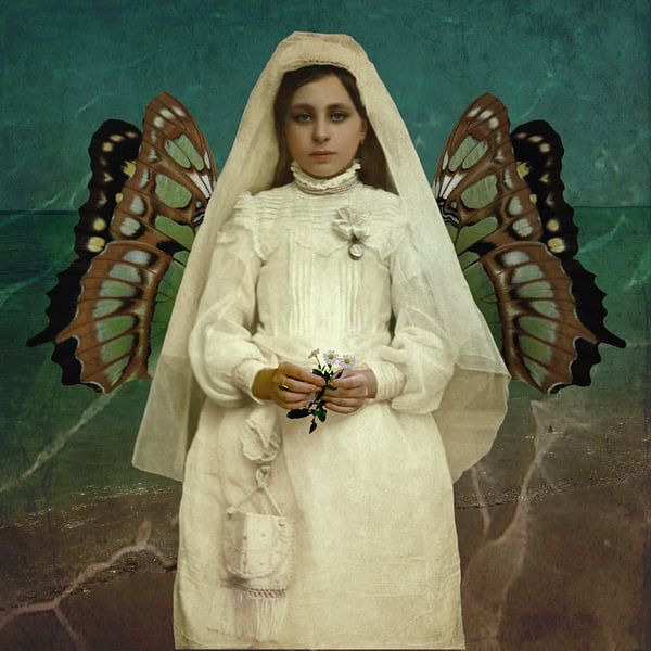 Schmetterlingsschönheit von Yvonne Zeldenthuis