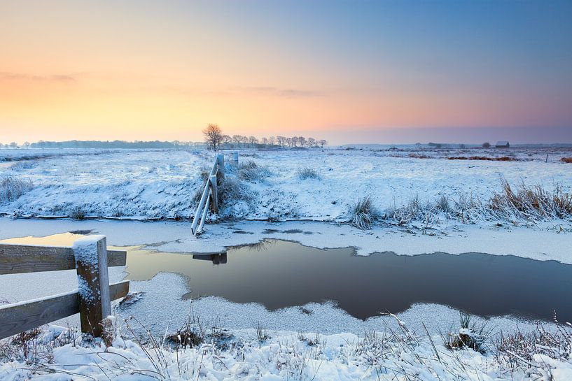 Winter landscape at Lieveren in Drenthe by Bas Meelker