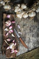 Knoflookbollen op boomschors 12506943