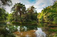 Island on Heidestein