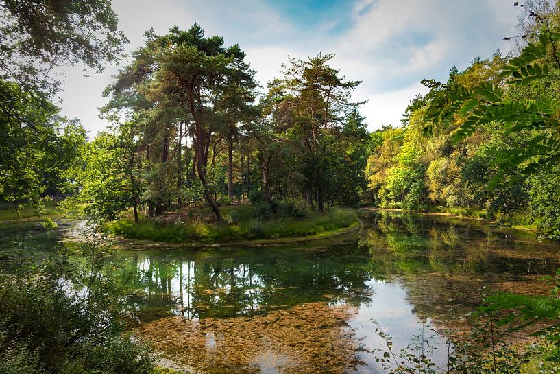 Île sur Heidestein par Jan van der Knaap