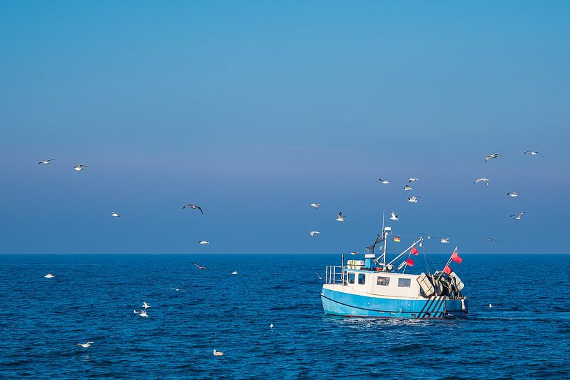 Bateau de pêche aux mouettes sur la mer Baltique devant Warnemünde par Rico Ködder