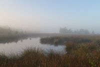 Engbertsdijksvenen 8