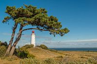 Leuchtturm Dornbusch | Hiddensee
