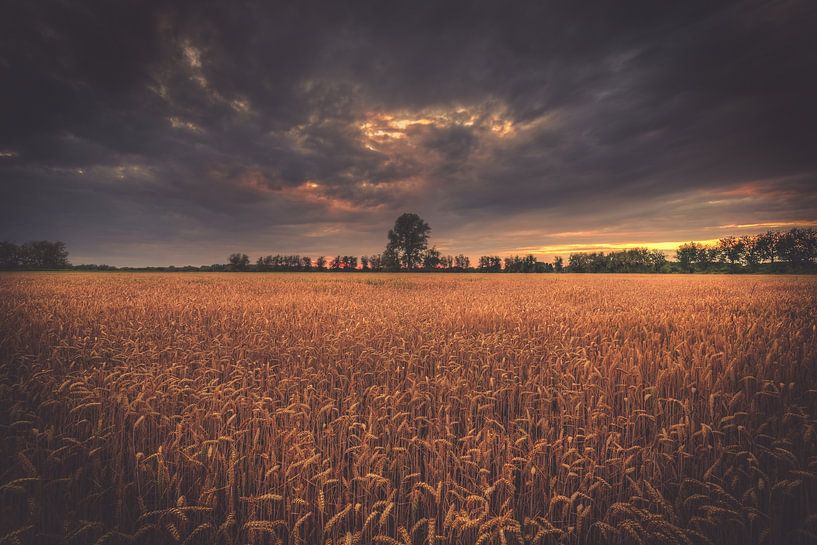 Horizon derrière le champ par Skyze Photography by André Stein