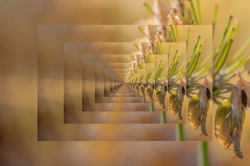 Vanishing point 1 by Albert Mendelewski