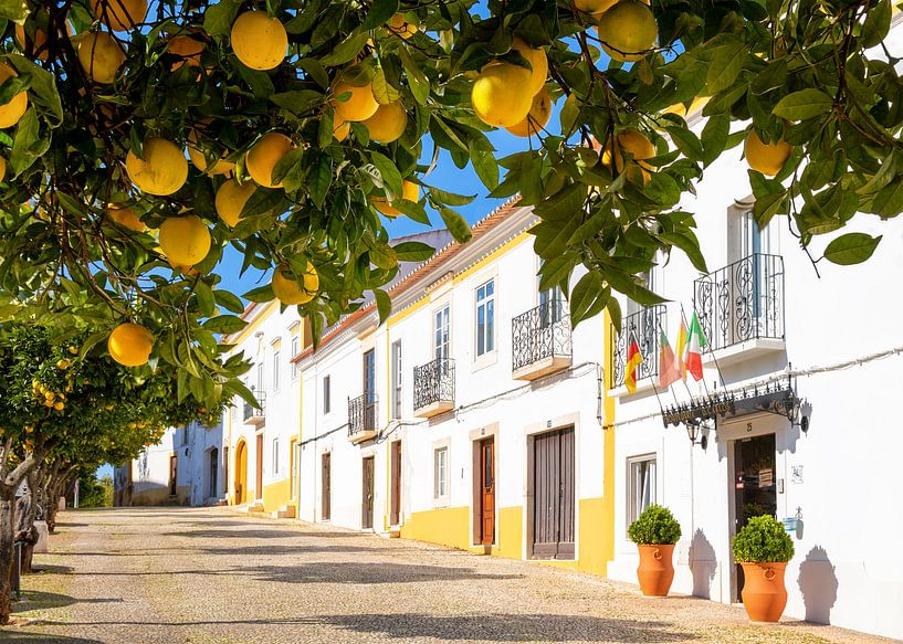 Cheerful Vila Viçosa, Alentejo, Portugal by Adelheid Smitt