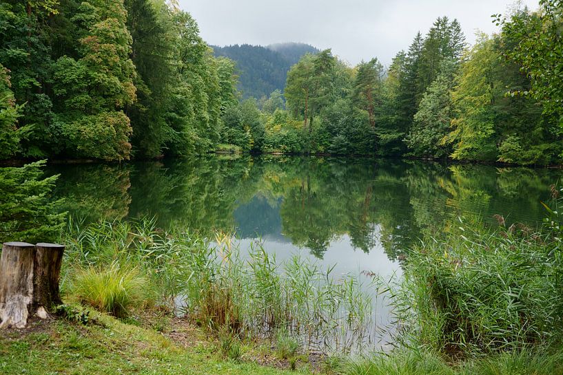 Lac de forêt en automne par ViLa