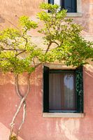 Torcello Italy | Lagoon of Venice