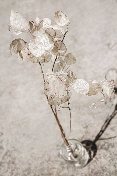 Médaille de Judas. De base. par Alie Ekkelenkamp