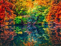 Herbst Wald mit See in Kunst Farben