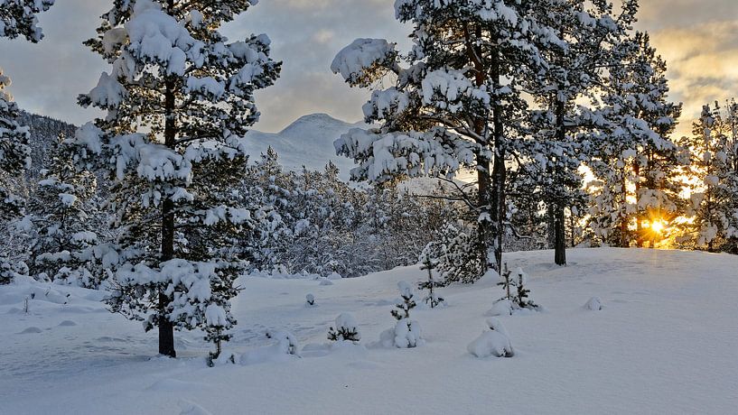 Norwegen, Sonnenaufgang by Michael Schreier