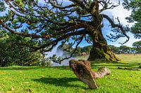 unverfälschte Natur